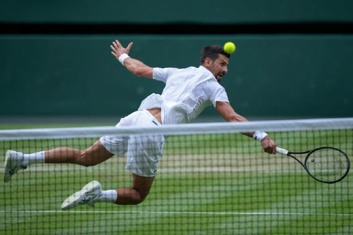 包含温网逆转ATP总决赛，德约科维奇点燃赛场的词条