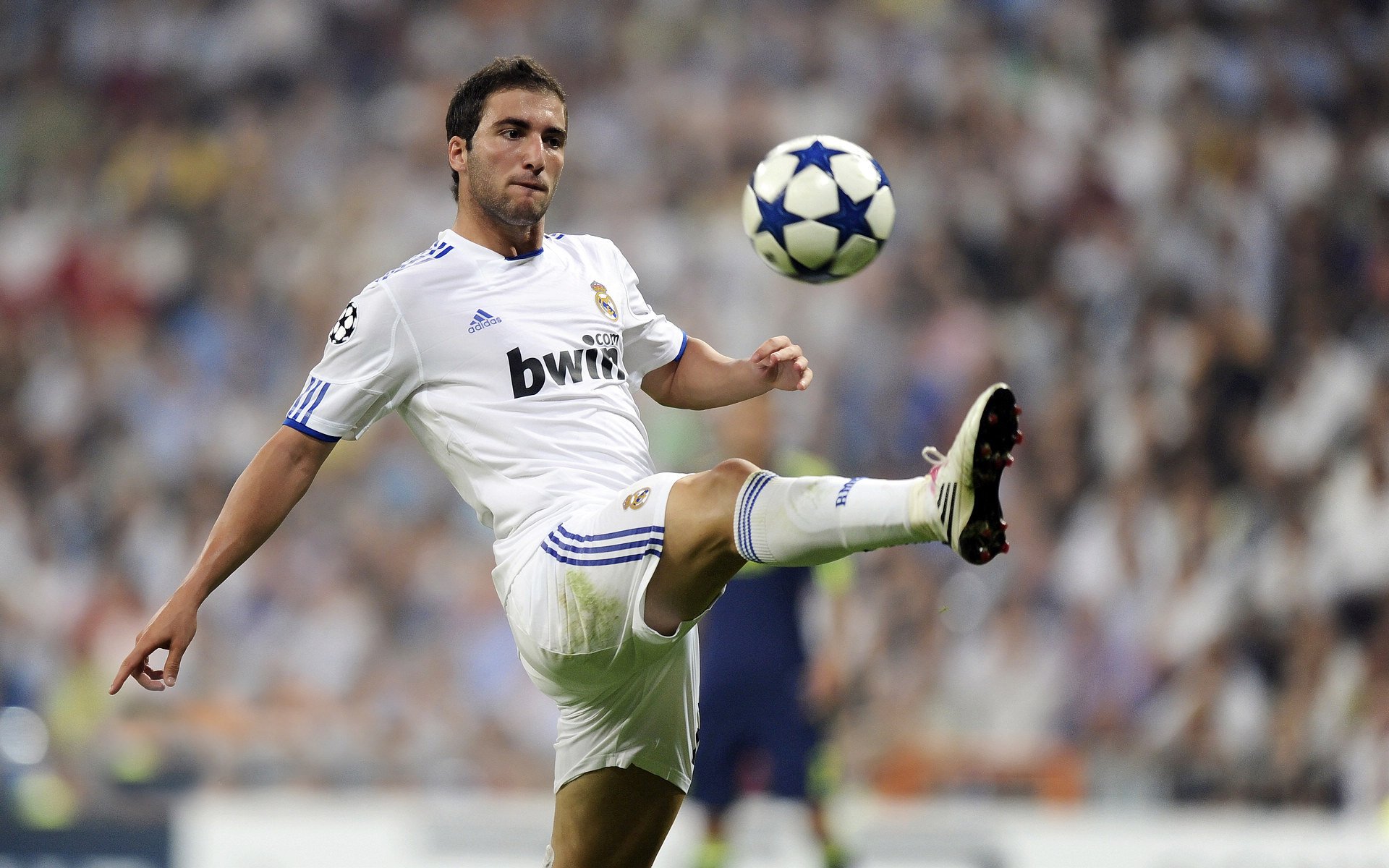 美加墨世界杯焦点战，袋鼠军团力克红龙，澳大利亚争冠战惊险胜出威尔士