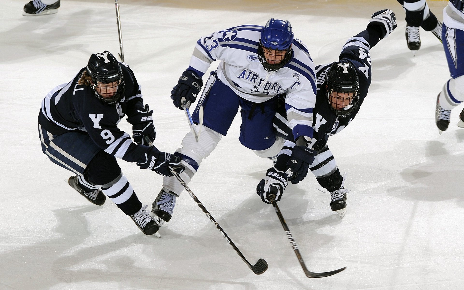 逆转之夜,兹维列夫统治联合杯,剑指ATP总决赛